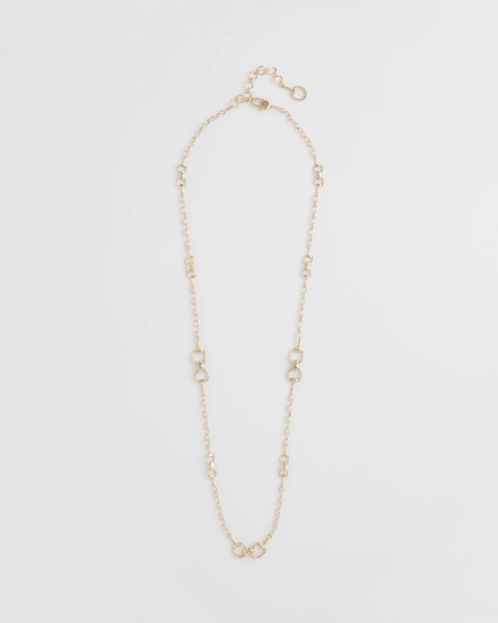 Chico's Jewelry Equestrian Horsebit Long Link Necklace