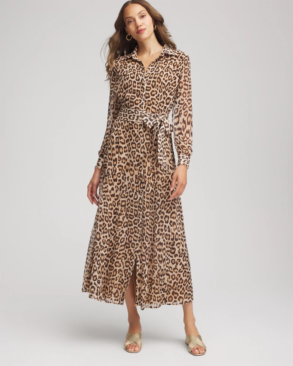 Chico's Clothing Cheetah-Print Godet Dress