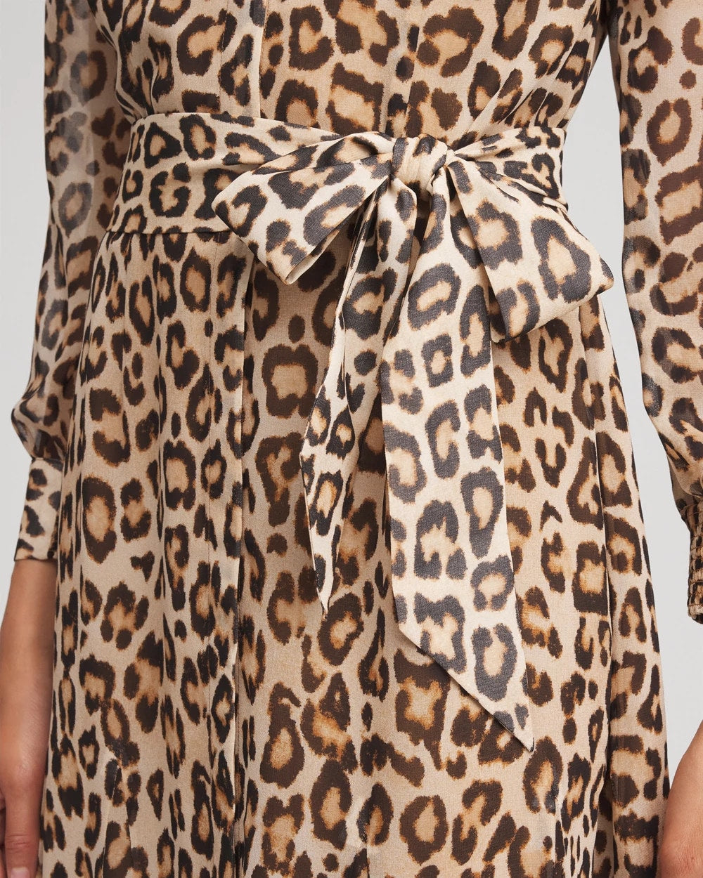 Chico's Clothing Cheetah-Print Godet Dress
